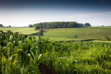 Somerset farmland